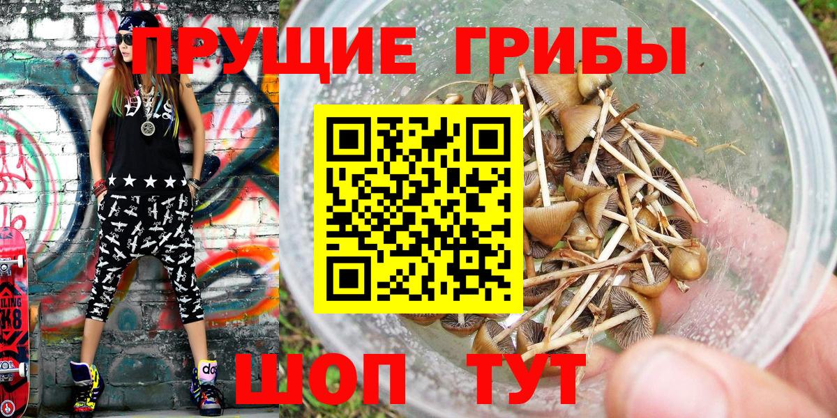 Псилоцибиновые грибы прущие грибы  Галлюциногенные грибы GOLDEN TEACHER  хочу   Вход с VPN  Мичуринск 
